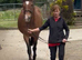BARGAIN **Safe fun 19yo 15.1h Irish TB mare