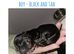 7 mini dachshund pups