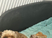 Red Cockapoo Puppies