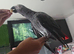 Tamed and talking Female with papers
