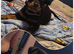 Gorgeous Rottweiler puppy