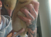 2week old gosling