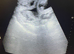 Anglesey microchipping d panning and canine fertility