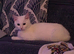New home needed asap