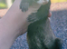 Polecat jill kit