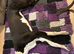 Greyhound bitch