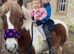 12.2 pony for sale
