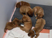 ** ALL PUPS NOW SOLD**