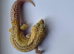 Mack Snow Tremper (M) Leopard Gecko