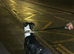 Male dog
