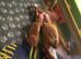 Champion breed boxer puppies