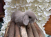 Exceptional Mini Lops! Waiting list open!