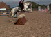 15hh 6yo Irish Mare