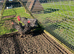 Barred Plymouth Rock