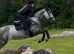 Beautiful all rounder Mare for sale