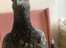 2 hand reared pigeons