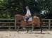 Exciting future / All rounder