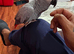 Super tame African grey parrots