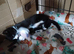 Two kittens needing homes sorry problem with contacting people