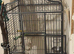 Parrot cage