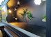 Vivarium LARGE nearly new 4 foot