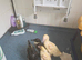 Ducklings