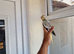 Super Silly hand tamed baby cockatiels for sale