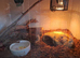 Corn snake complete with viv set up