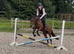 Class 1 Scopey Connemara Mare