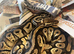 Adult bull python