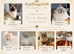 Beautiful Ragdoll Babies