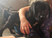 Loving Male Puppy Looking for His Forever Home