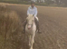 Blagdon Cob Mare 14.1hh mare