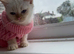 One little girl