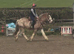 15.2 4yr red roan Ride & Drive Mare