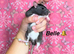 Beautiful mixed gender baby rats