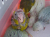 Hand reared indian ringneck