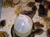 Coturnix quail hatching eggs