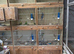Budgerigar breeding cages