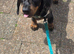 Male 5half months old