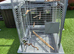 Large bird cage