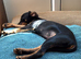 Gorgeous 5 month old miniature pincher for sale