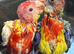 Silly Tame Hand-Reared GMR Rosella's For Sale