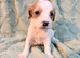 8 little girls **** 4 left ****