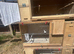 Budgie breeding cages