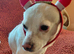 KARA – A Tiny Girl with an Enormous Heart