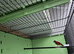 Black hooded red siskin