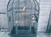 Bird/Parrot Cage