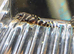 L333 pleco