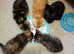Maine coon x Ragdoll kittens Available now!
